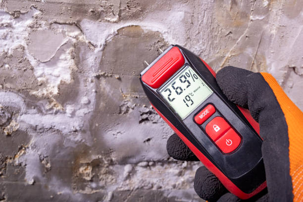 Best Residential Mold Remediation in Brookside Village, TX