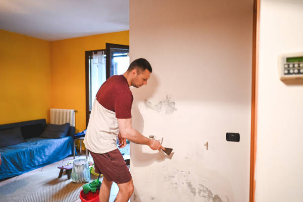 Best Industrial Mold Remediation in Brookside Village, TX